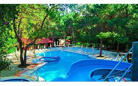Festival Nature Hotel